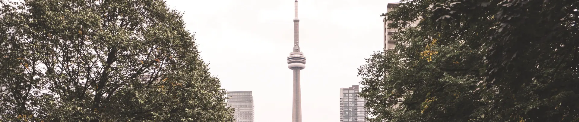 CN Tower framed by trees in downtown Toronto